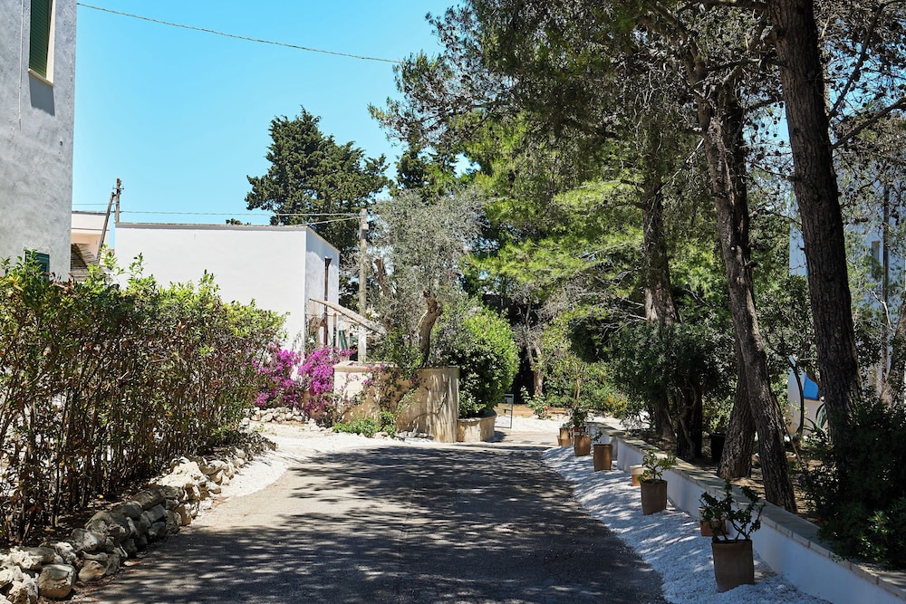 Tenuta Belvedere