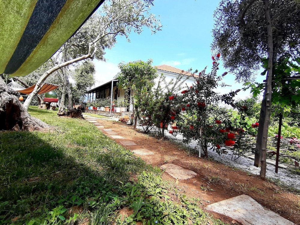 Katerina Fotopoulos Homes & Apartments