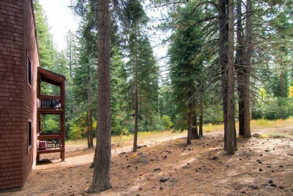 Lake Tahoe Vacations - Ski-in/ski-out Northstar Condo Near Lake Tahoe! - Property Image 8