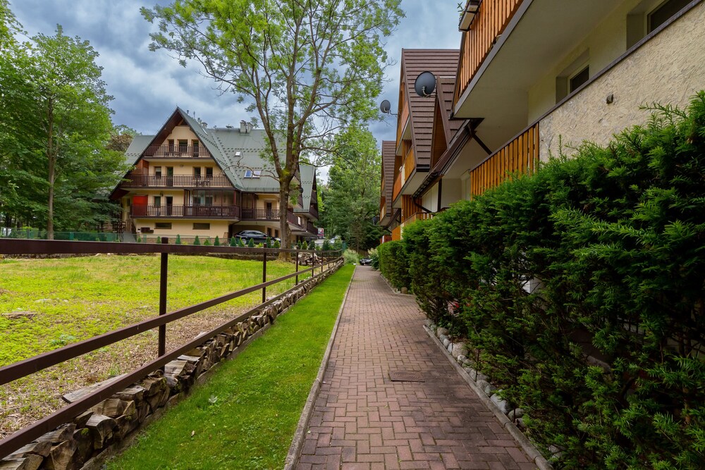 Droga na Bystre Zakopane by Renters view 4