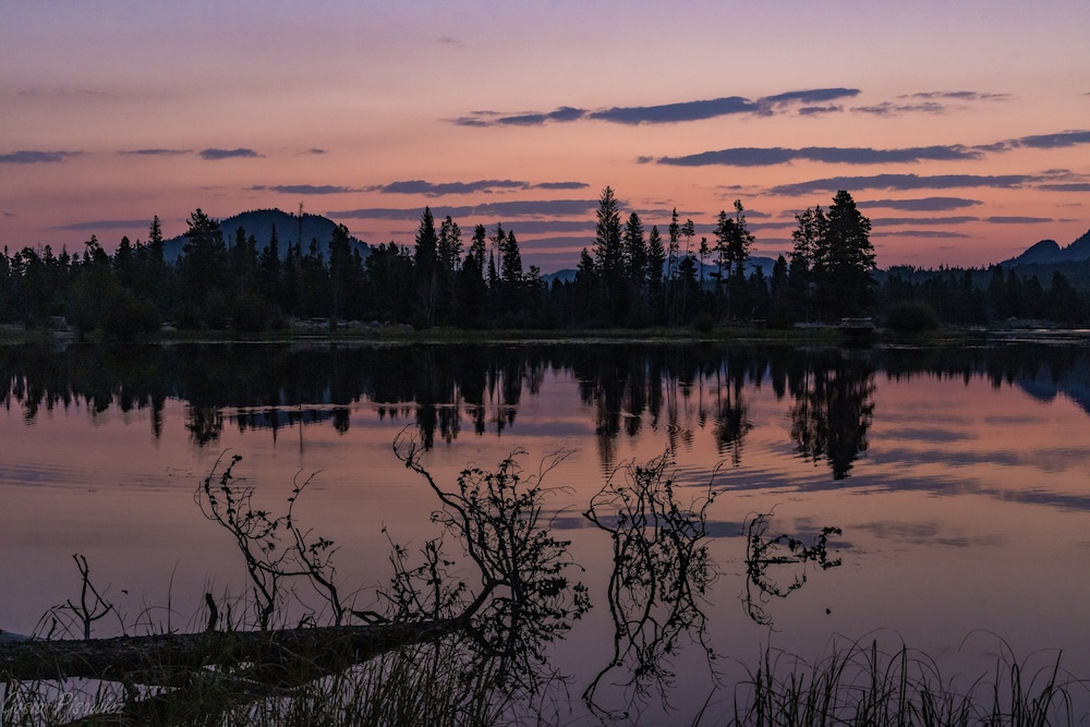 O'deer Cabin - Pet Friendly - Estes Park -- Ev#3241 2 Bedroom Cabin by RedAwning