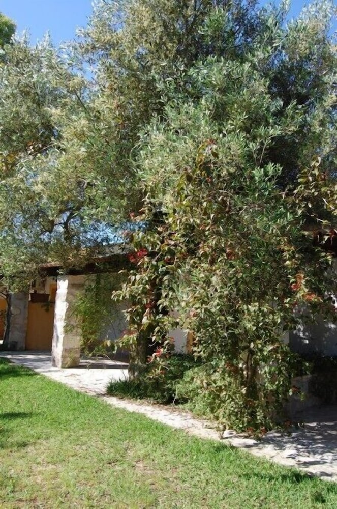 Scalilla - L'Agriturismo