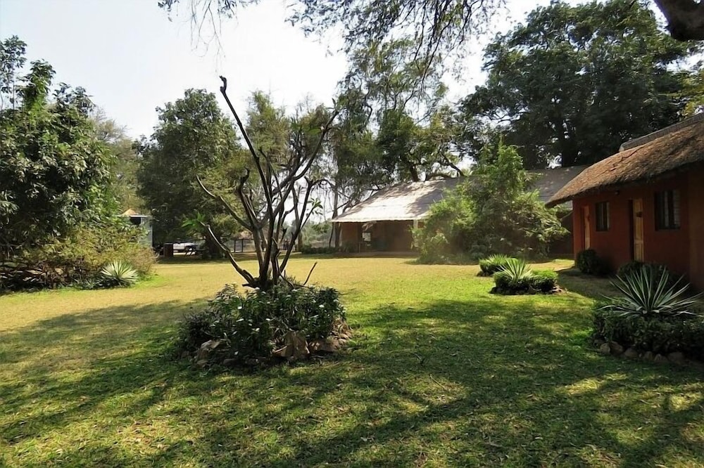 Croc Valley Camp