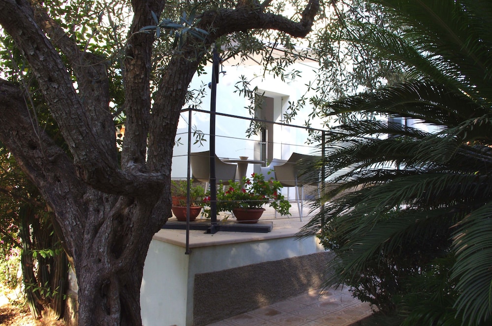 Photo 46