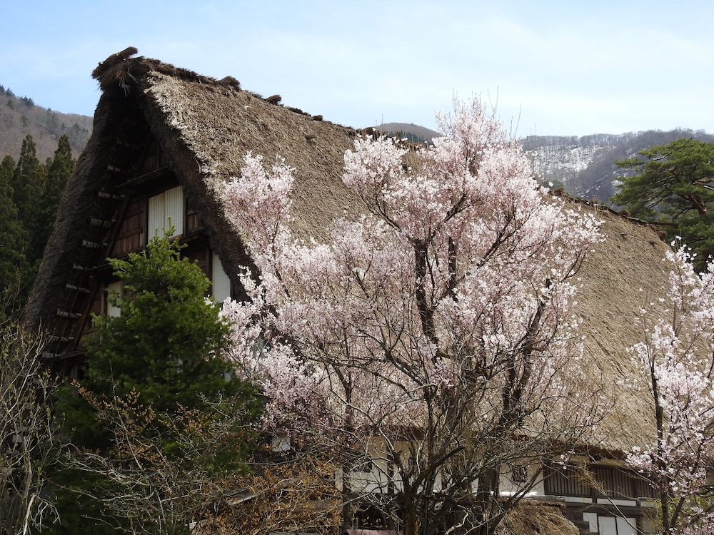 Photo 46