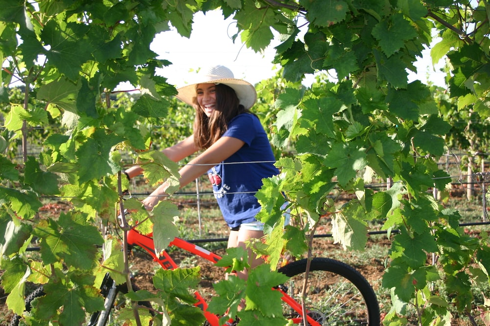 Tenuta Vigna Corallo