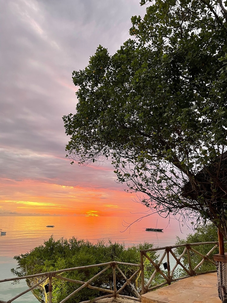 The Island - Pongwe Lodge - Adults Only