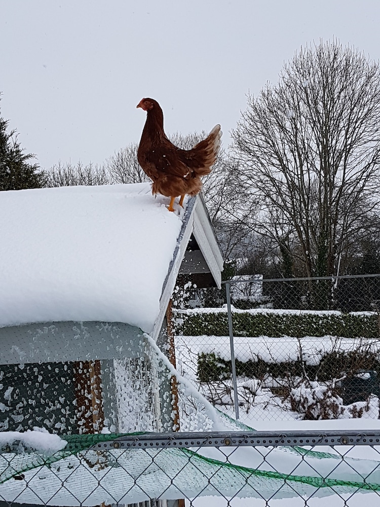 Kilcatten Lodge BB - Property Image 21