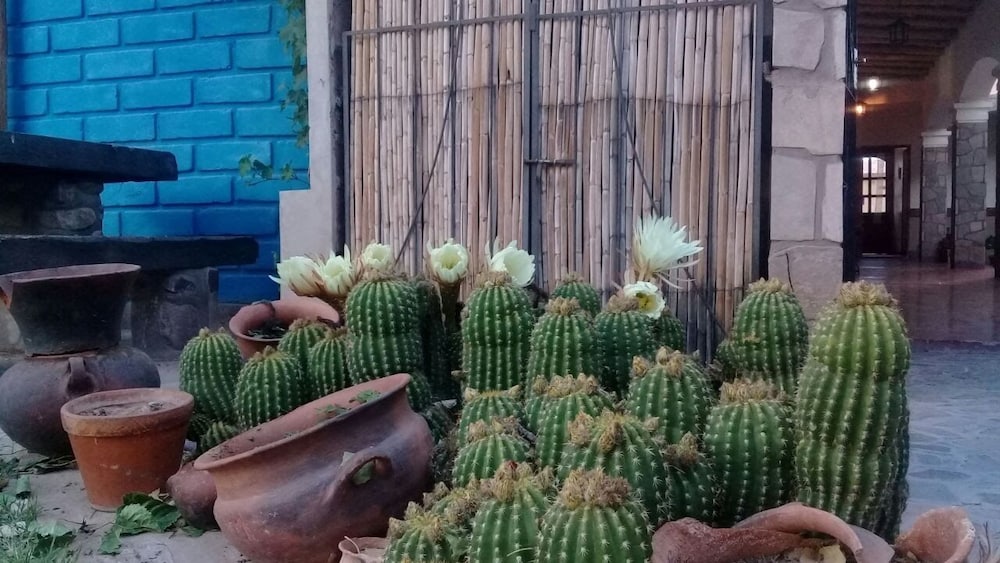 Hostal Azul Humahuaca