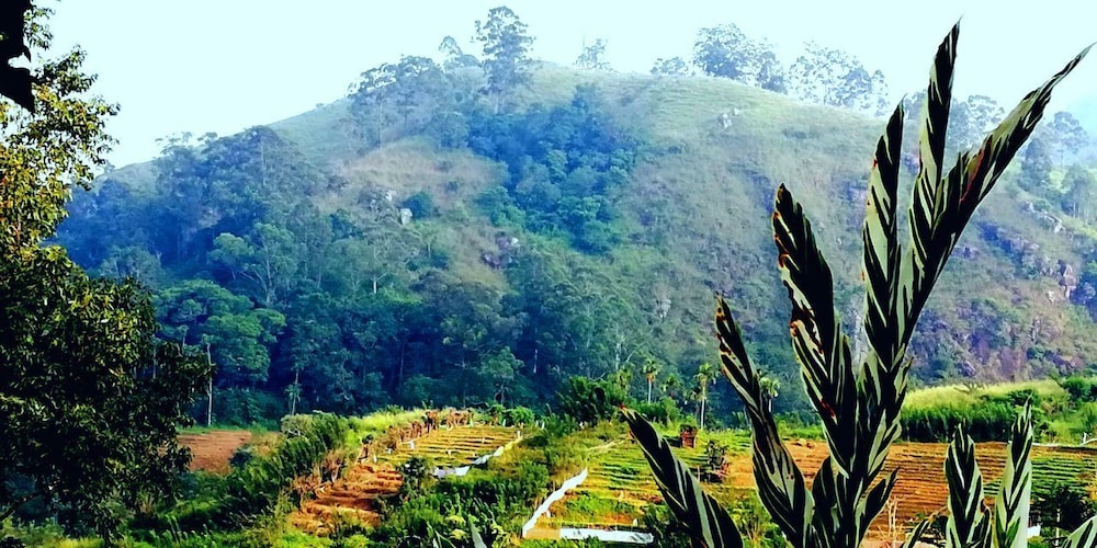 Ella Farmer Village