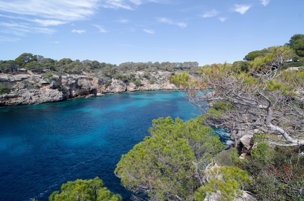 The Torrent s Observer Holiday Home