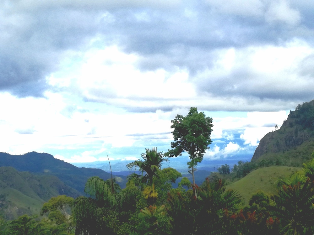 Photo 40