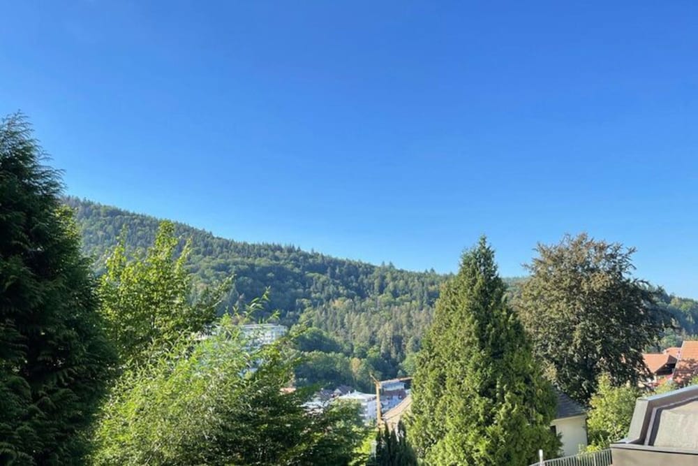 Well-kept Flat in Bad Herrenalb With Indoor Pool