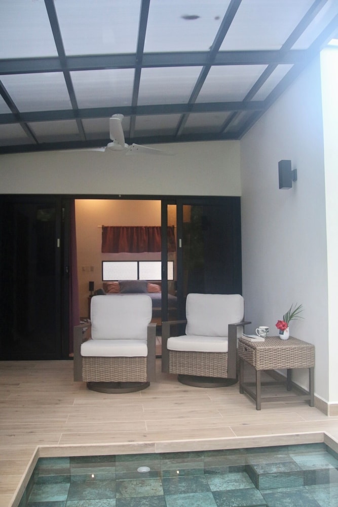Palmera Azul
