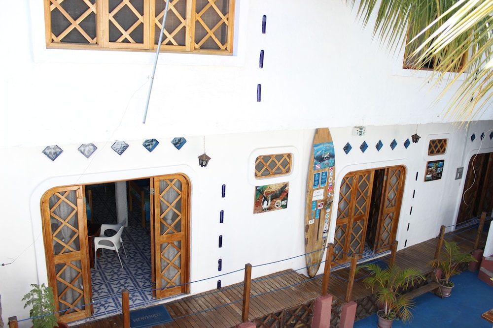 Galapagos Penguin Hostel