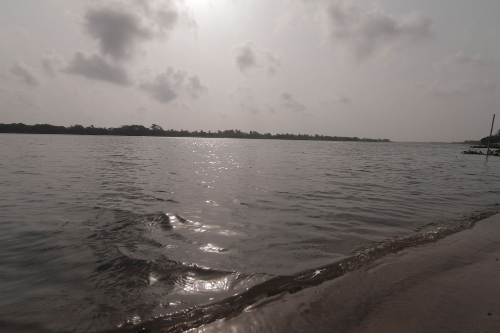 Korkoe