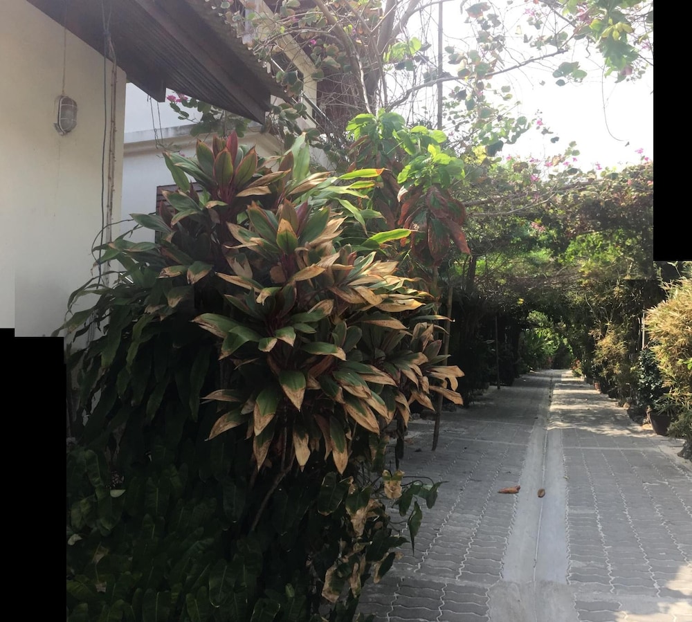 Photo 35