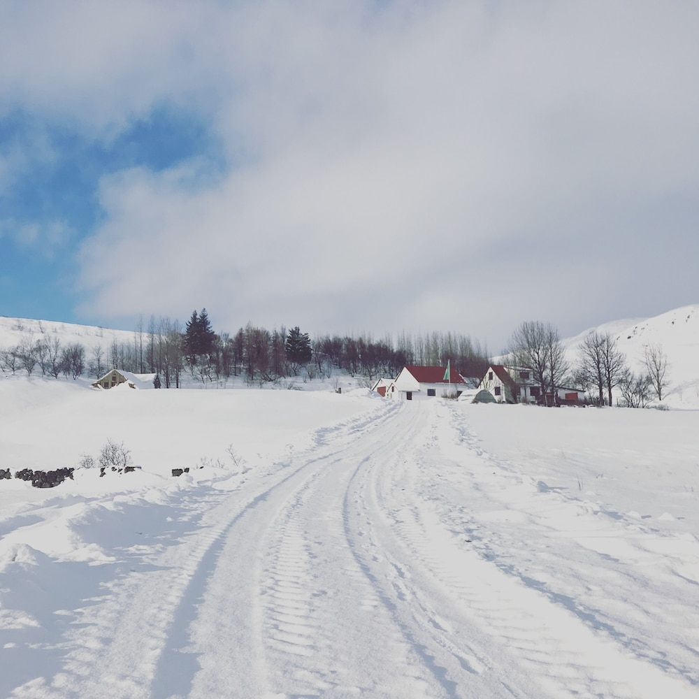 Dalshöfði Guesthouse