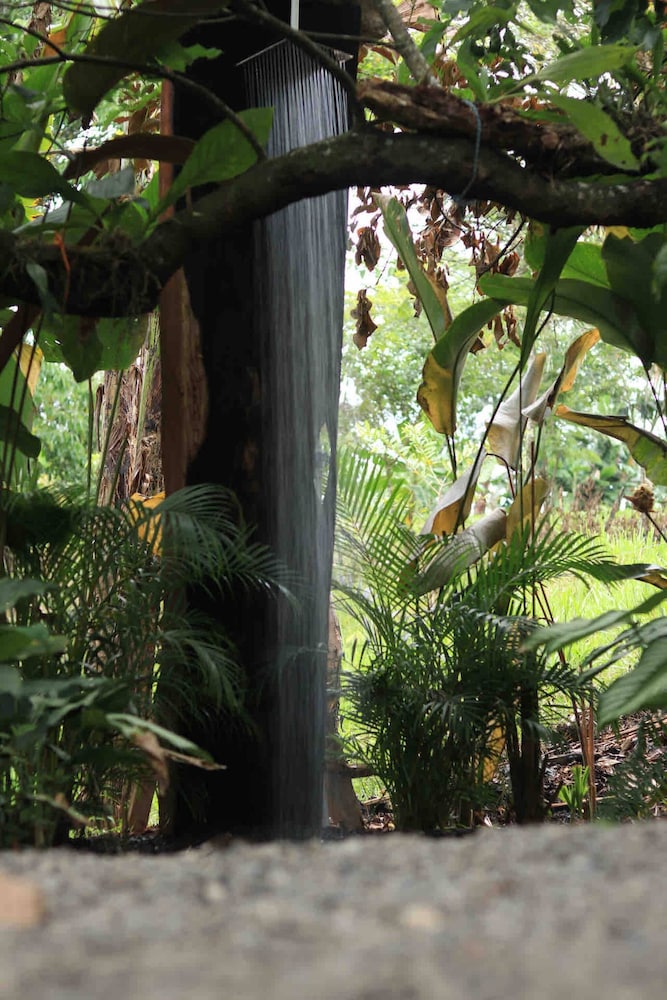 Cabaña Luculuc Garden & Forest