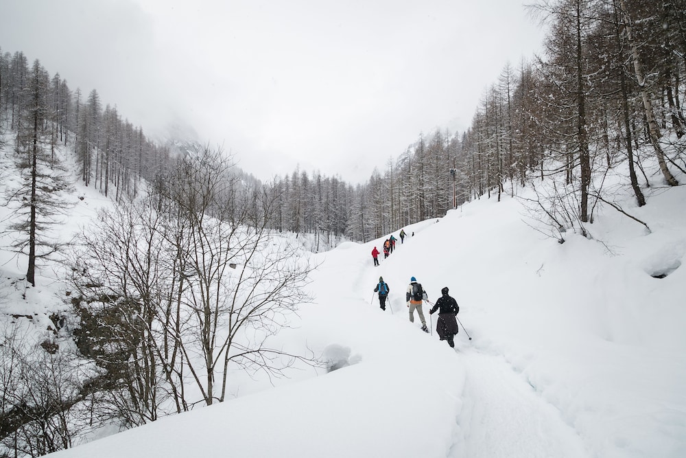 NH Collection Alagna Mirtillo Rosso
