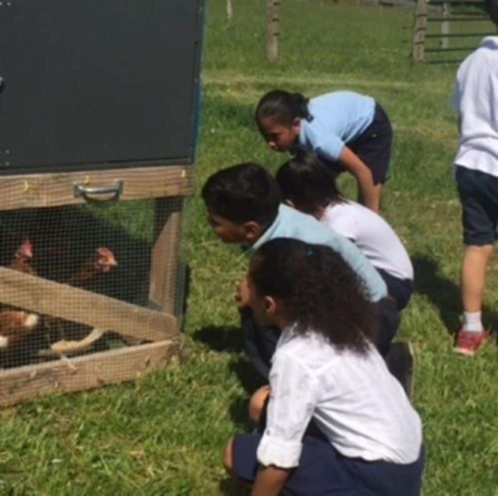 Flint Hill Farm AG
