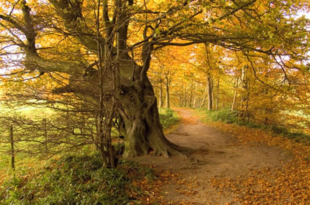 Tranquil 3 Bed - All En Suite - Cottage in Hexham