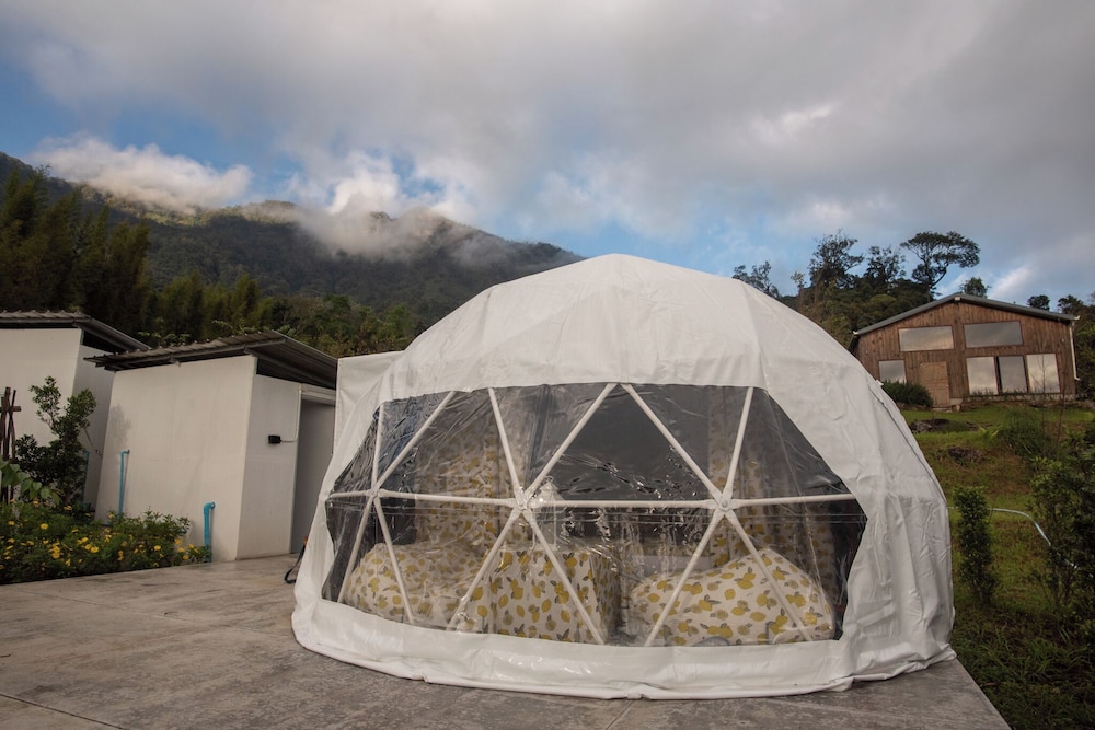 Doi Inthanon Tea Farmstay