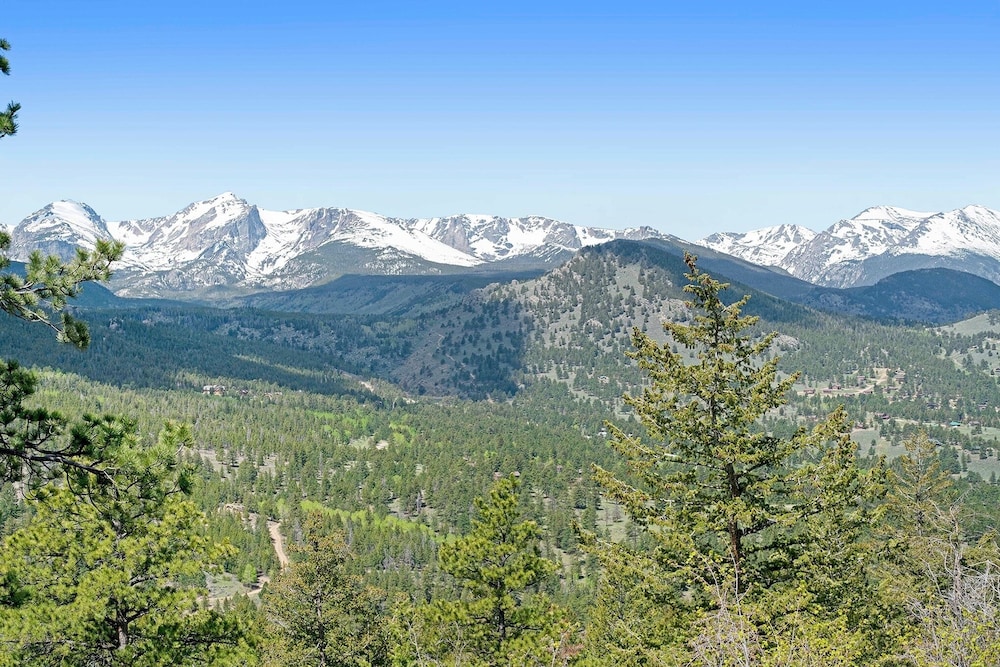 Photo 40