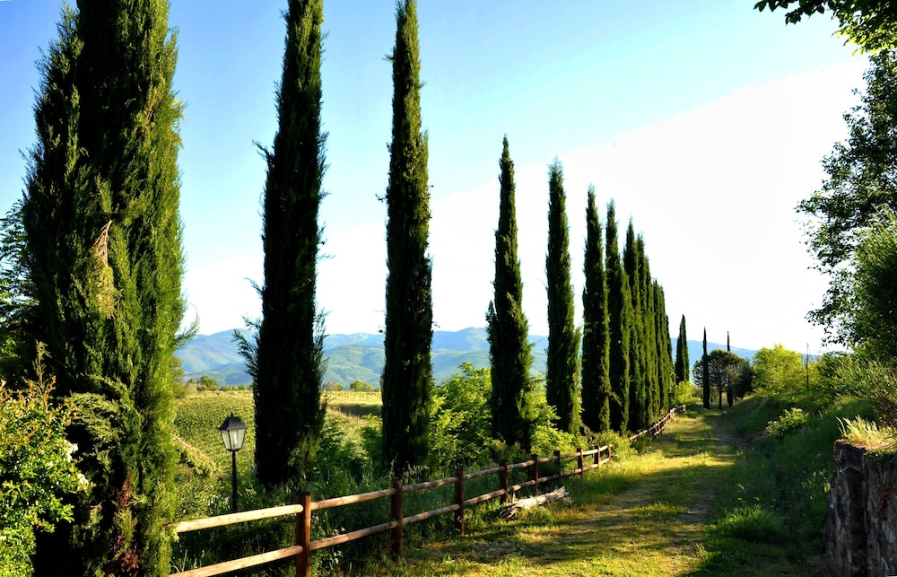 Il Pino Bioagricoltura