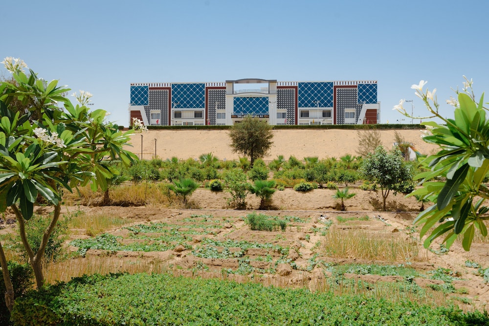 Bikaner Vacations - Dharti Dhora Ri - A Sand Dune Resort - Property Image 5