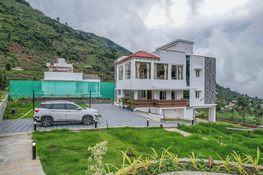 AVJ Nest view 4