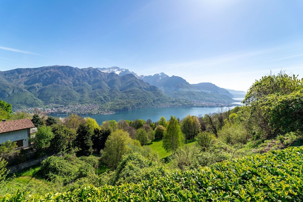 Panorama Lake and Garden