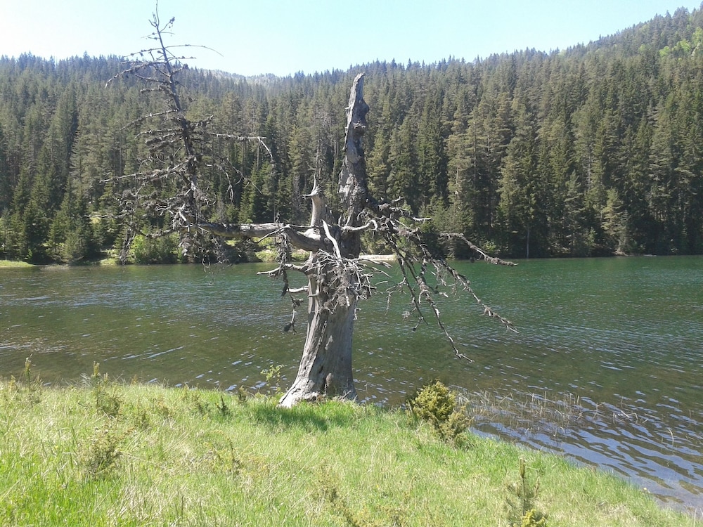 Photo 52