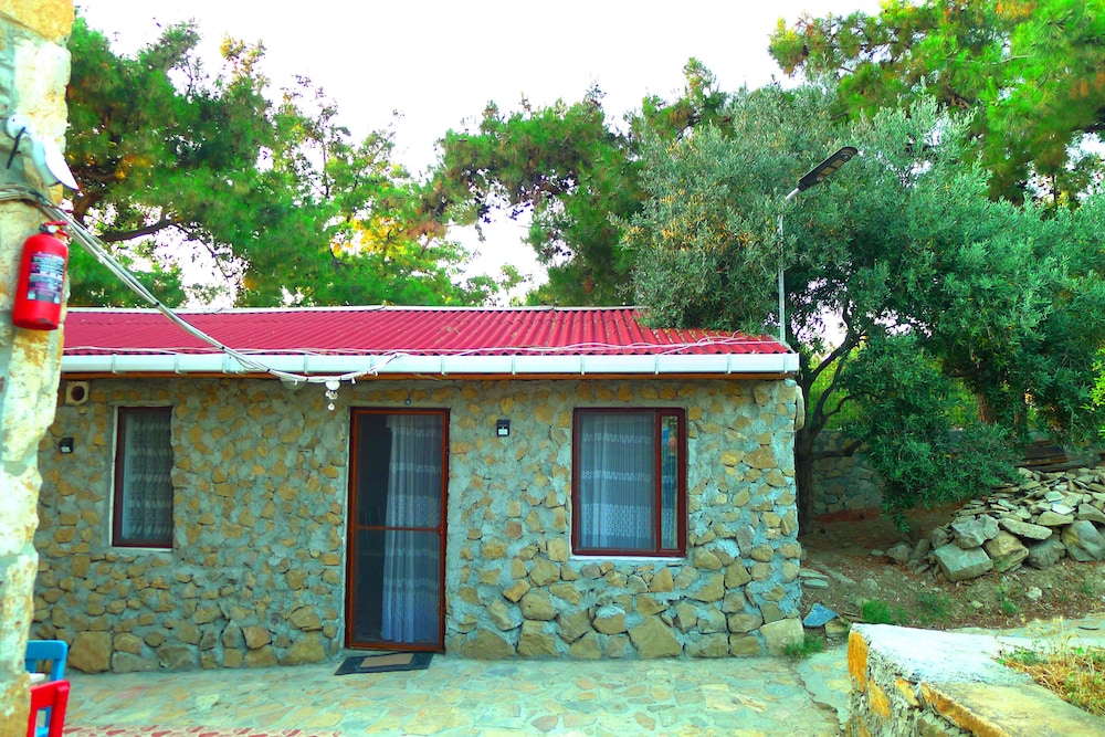 Photo 25
