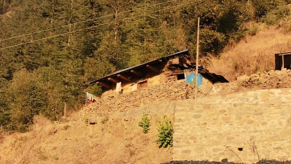 Photo 9