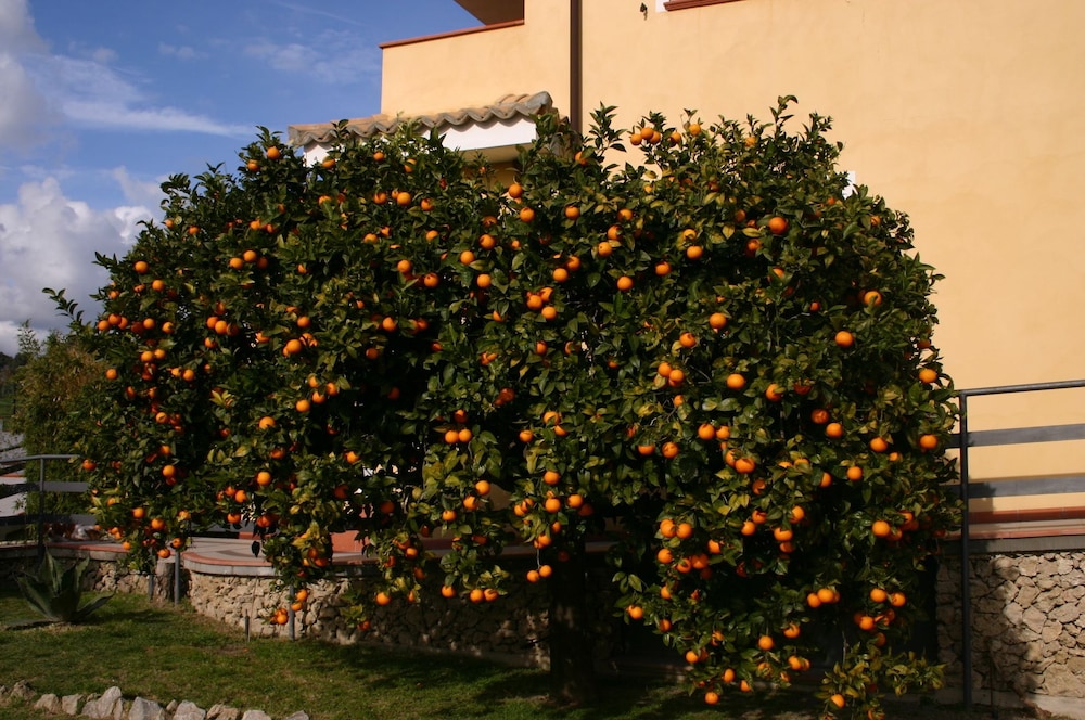Ferme Simonello, Photo 16