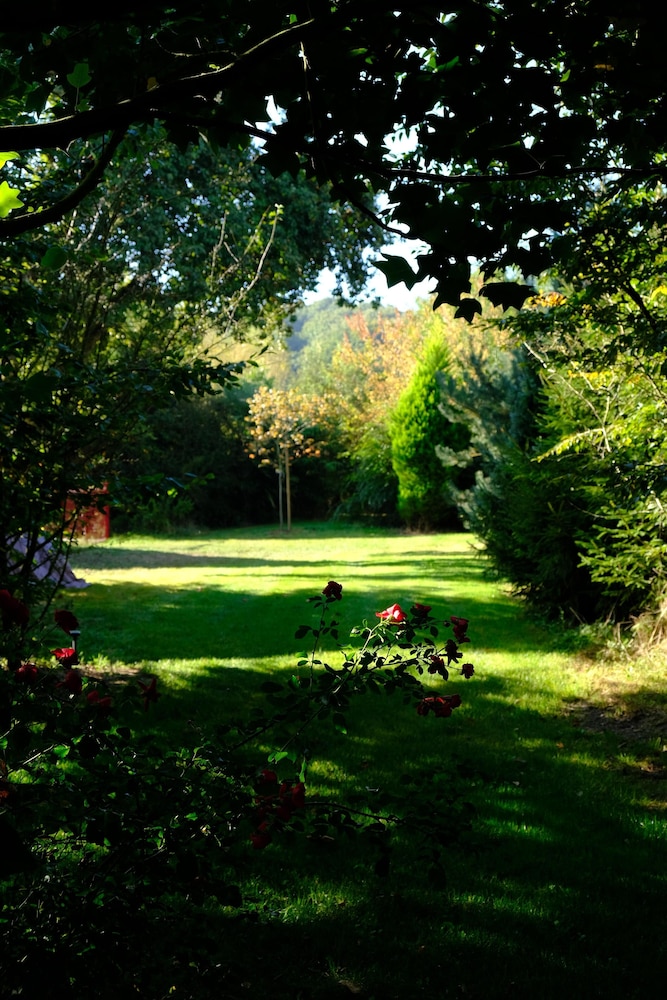 Photo 44