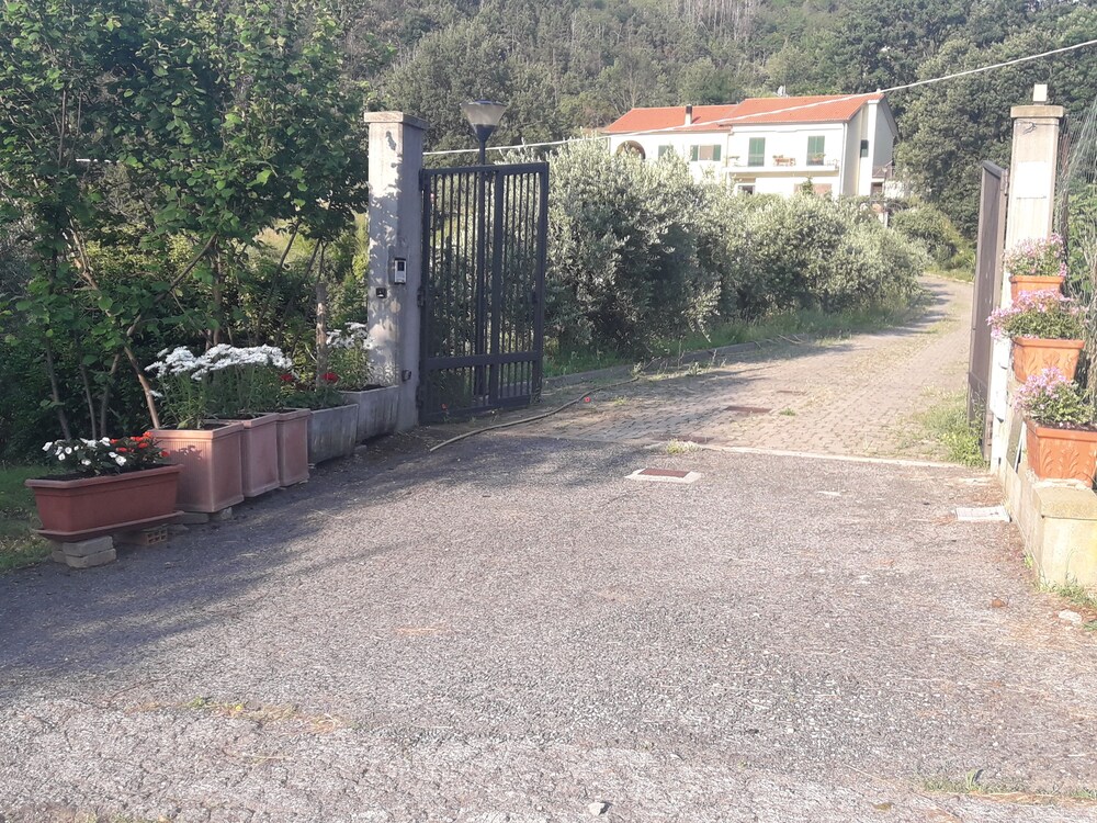 Photo 39