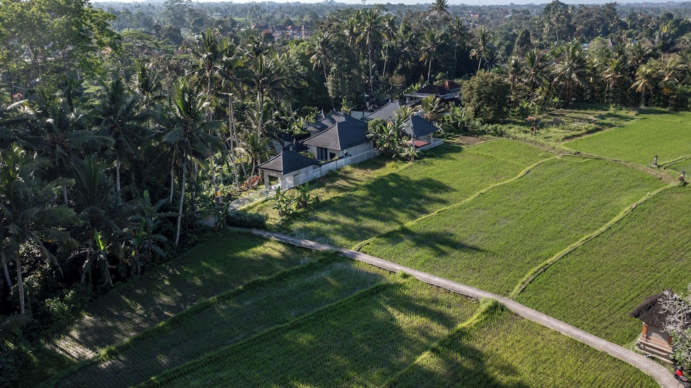 Capung Asri Ubud view 3