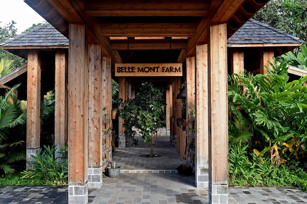 St Kitts Vacations - Belle Mont Sanctuary Resort - Property Image 3