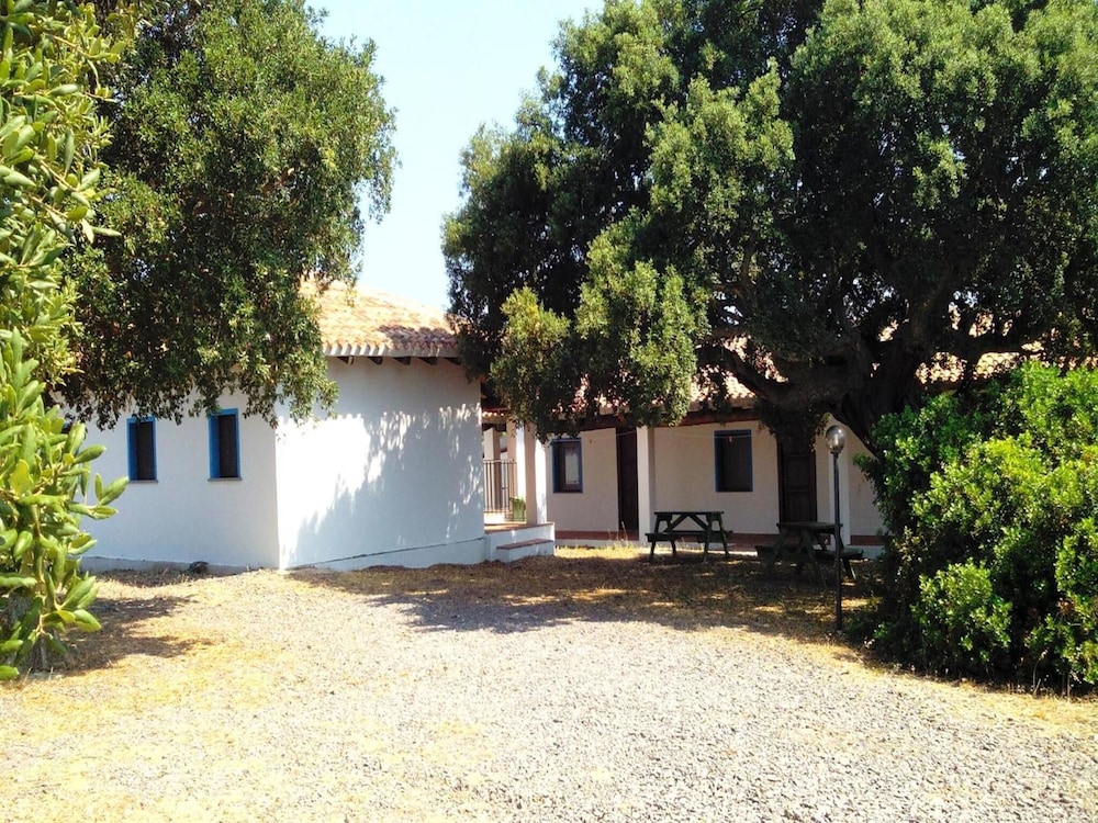 Photo 45