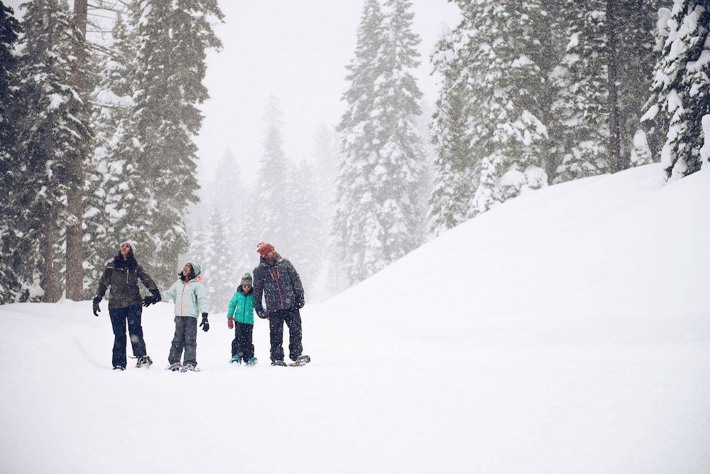 Lake Tahoe Vacations - Northstar Village 237 - Property Image 19