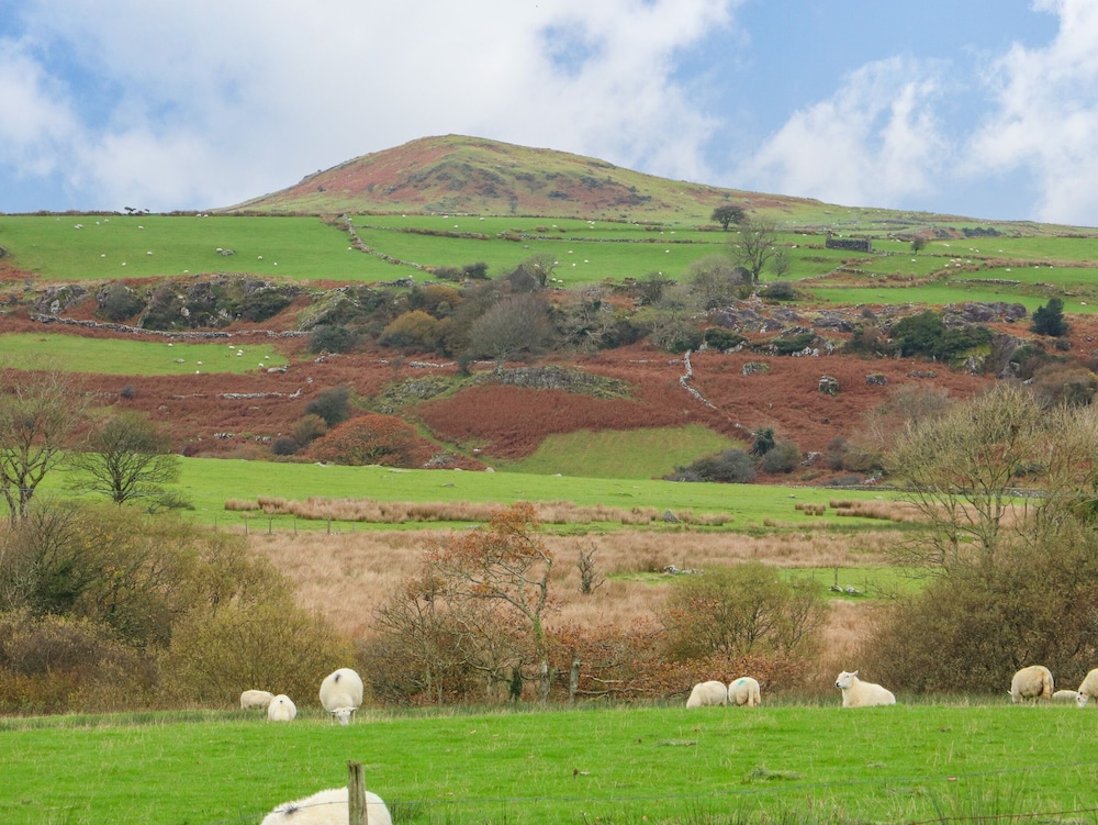 Cefn-yr-efail