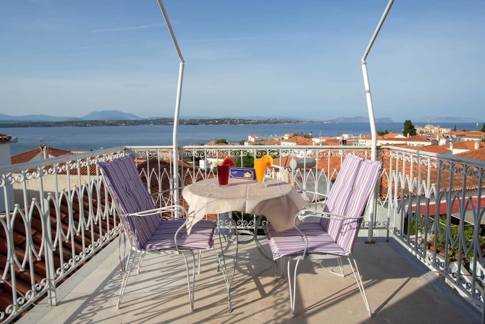 Seaview Splendor - Ostrella Summer Haven