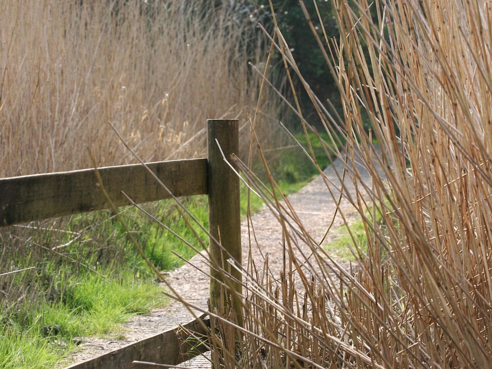 Yelverton Vacations - The Daffodil Shed - Property Image 4