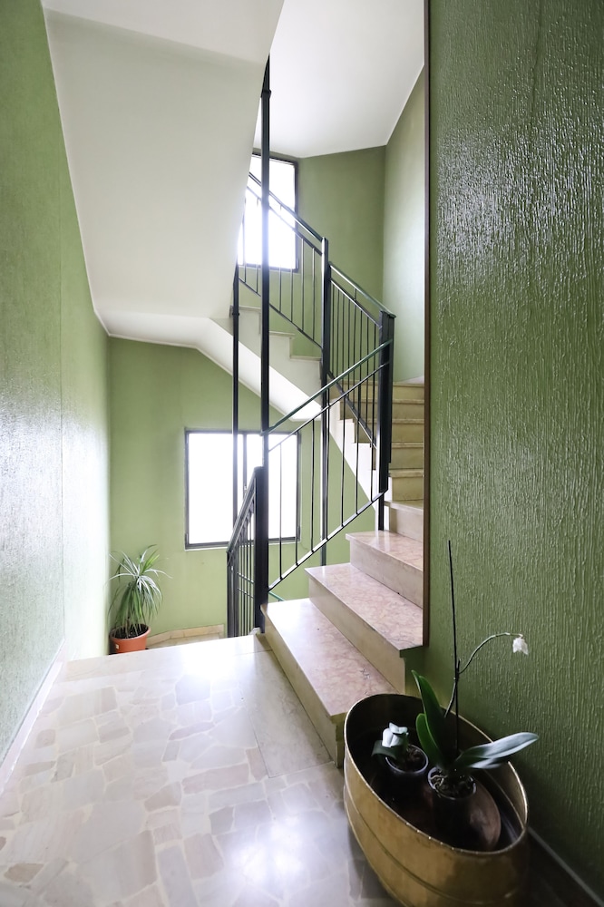 Merula Dream House