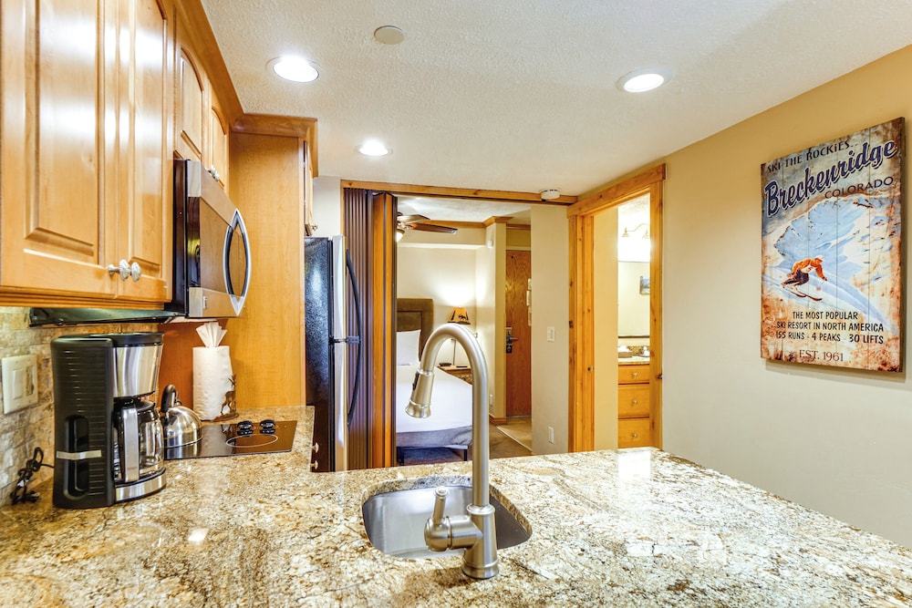 48 Steps to Ski Lift: Breck Suite w/ Resort Perks!