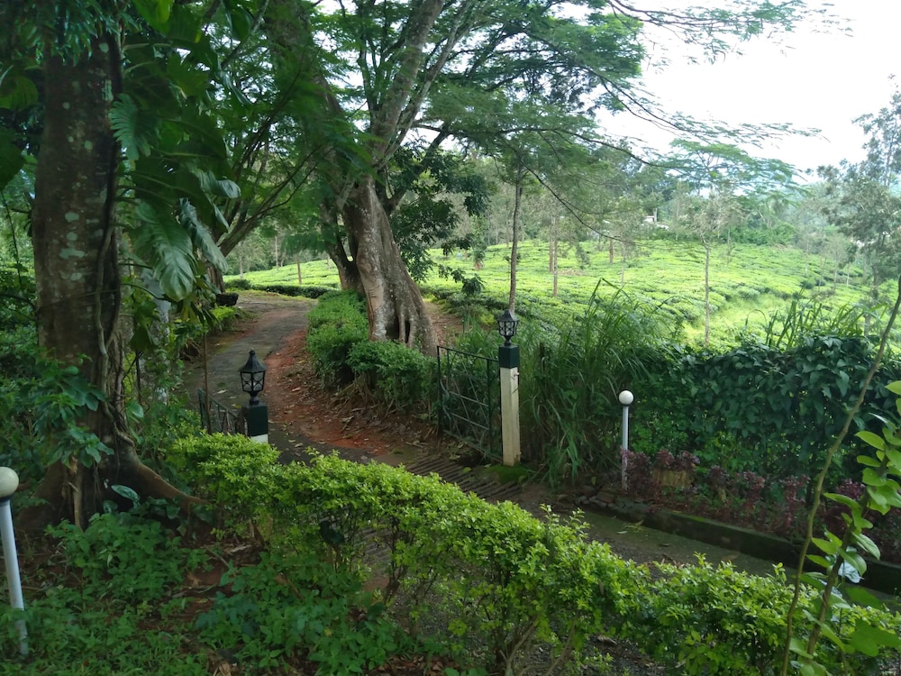 Photo 10