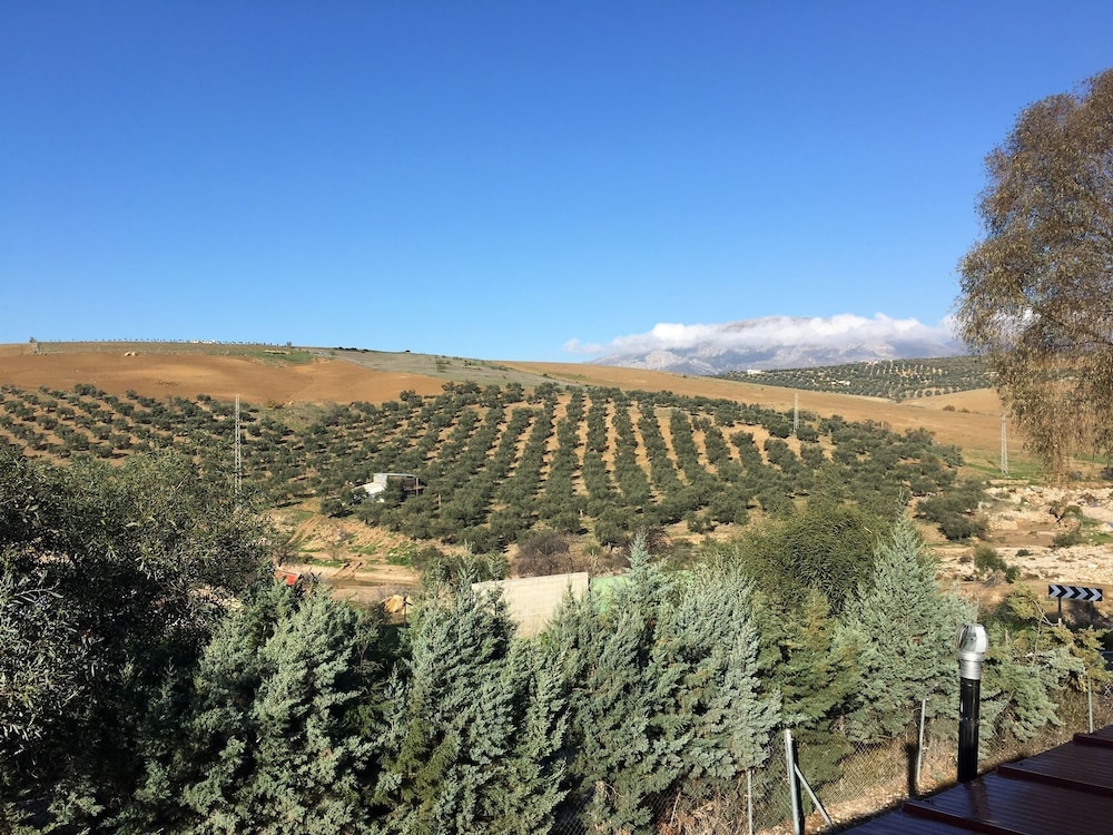 Dos Alamos