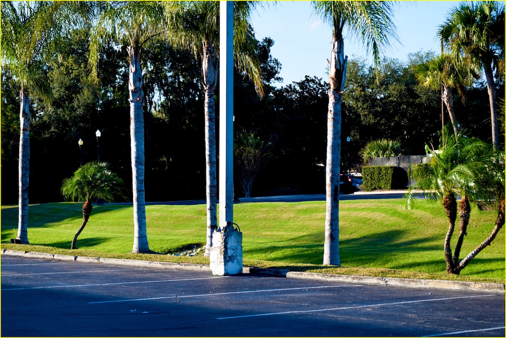 Photo 49